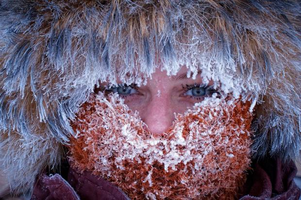 Морозы в Архангельскую область пришли до конца недели — Севгидромет