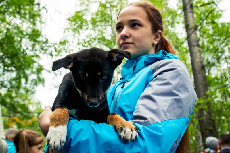 Завтра в Архангельске собаки дадут людям шанс стать добрее