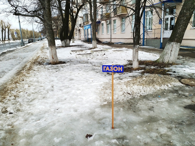 Губернатор Орлов ввёл режим самоизоляции в Архангельской области