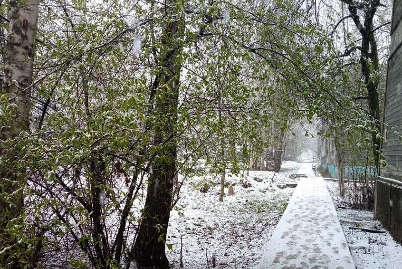 В Архангельске снегопад и ночные заморозки, приметы работают на 100%