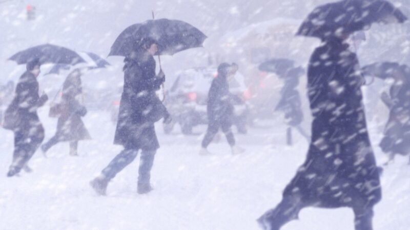 В Архангельской области ожидаются снег, дождь, сильный ветер