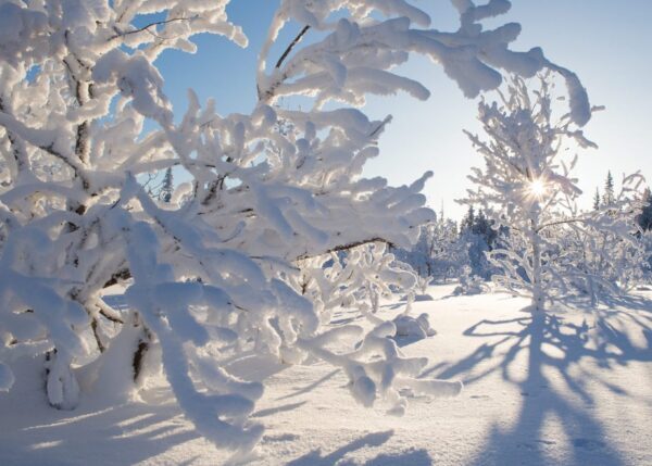 Снег, ветер и гололёд ожидаются в Архангельской области