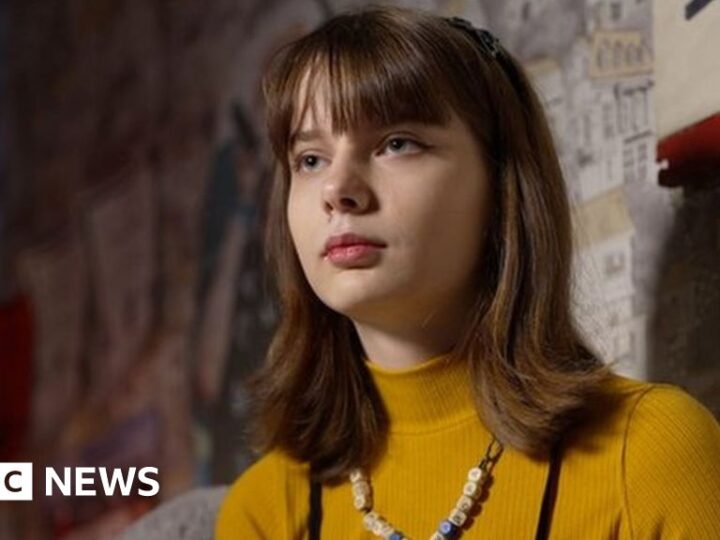 Архангельская студентка скрылась в Литве от обвинения за дискредитацию армии РФ