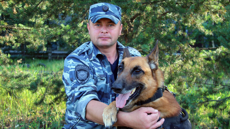 В Архангельске собака с полицией вернули похищенный телефон