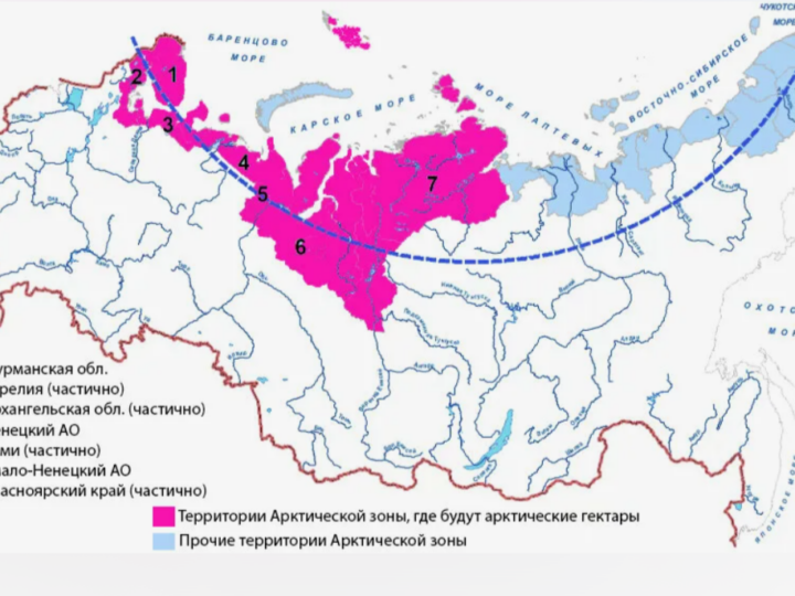 Арктические гектары в Поморье получили 670 человек