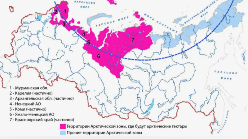 Арктические гектары в Поморье получили 670 человек